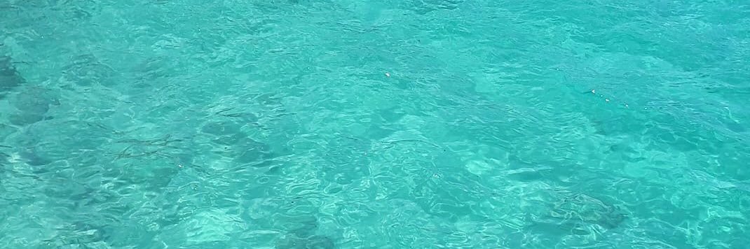 Raffaele De Luca banner