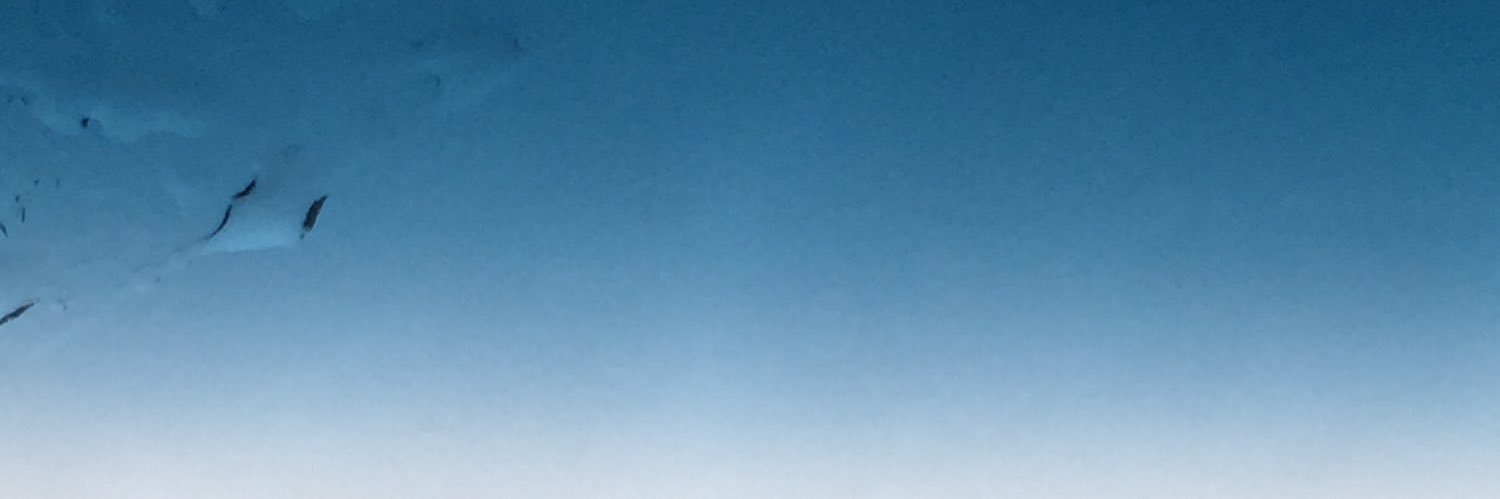 suyenni's profile banner image