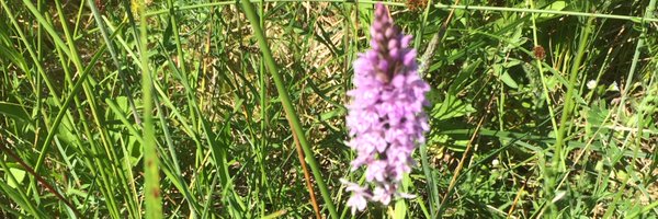 gillyvla Profile Banner