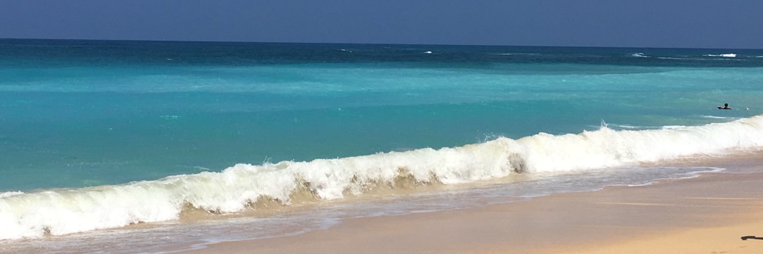 ShellieItaliane's profile banner image