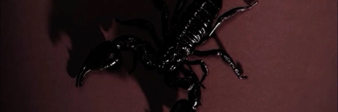 _SachaMichelle's profile banner image