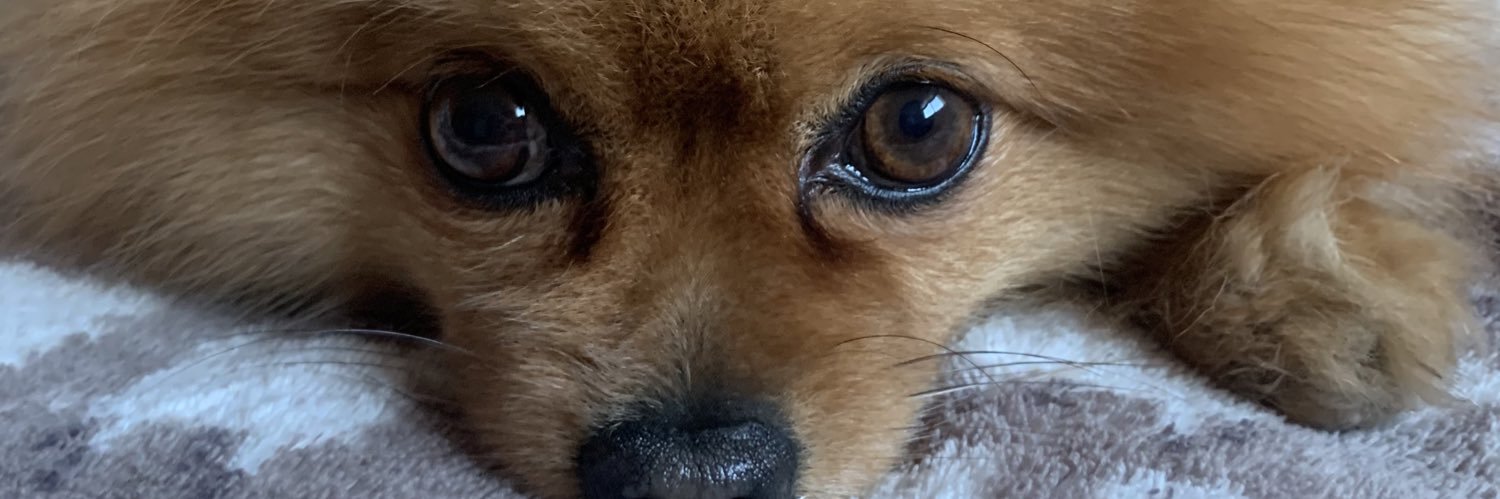 sandratg97's profile banner image