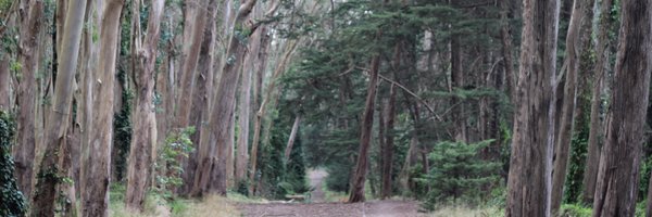 ryangembala Profile Banner