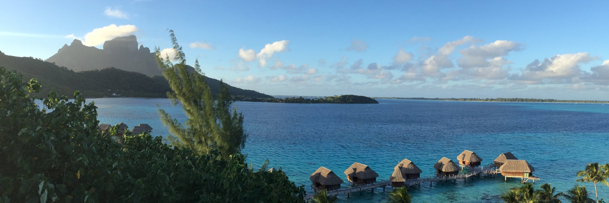 Frédéric Ferrer banner