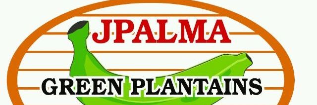 Jorge Palma Ramirez. banner