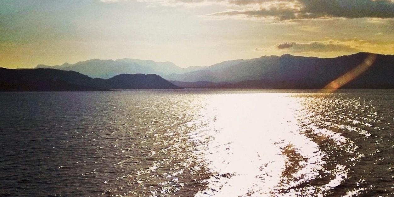 LSaggesi's profile banner image