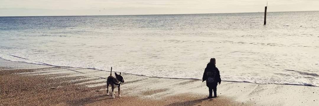 hollyness_'s profile banner image