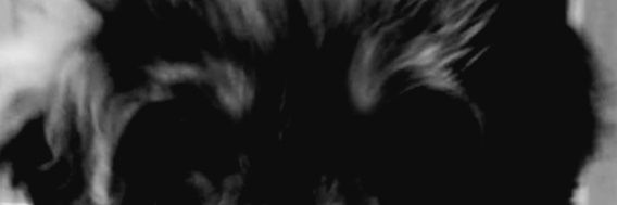 JeffreyBand's profile banner image