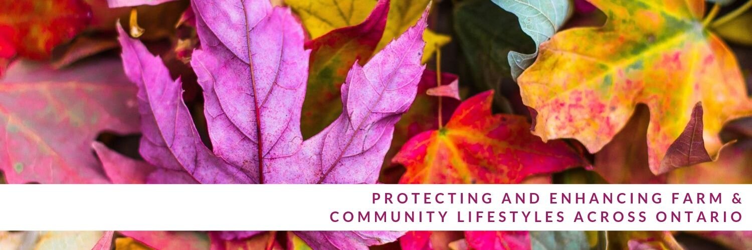 Trillium Mutual banner