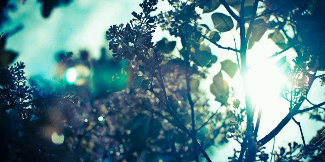 JunctionParents's profile banner image