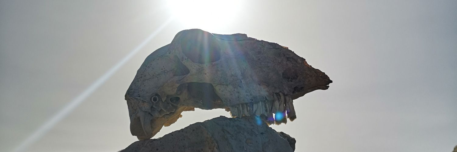 eliag_7's profile banner image