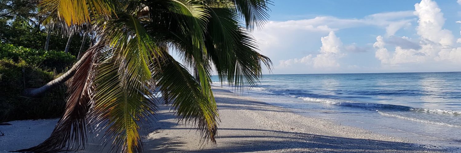 SanibelSusan's profile banner image
