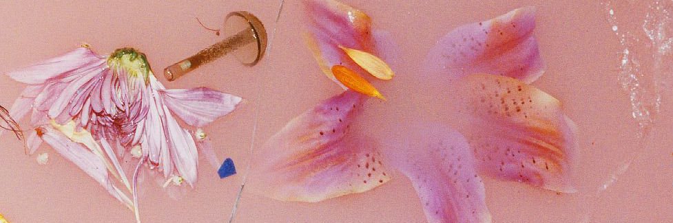 LizLou72's profile banner image