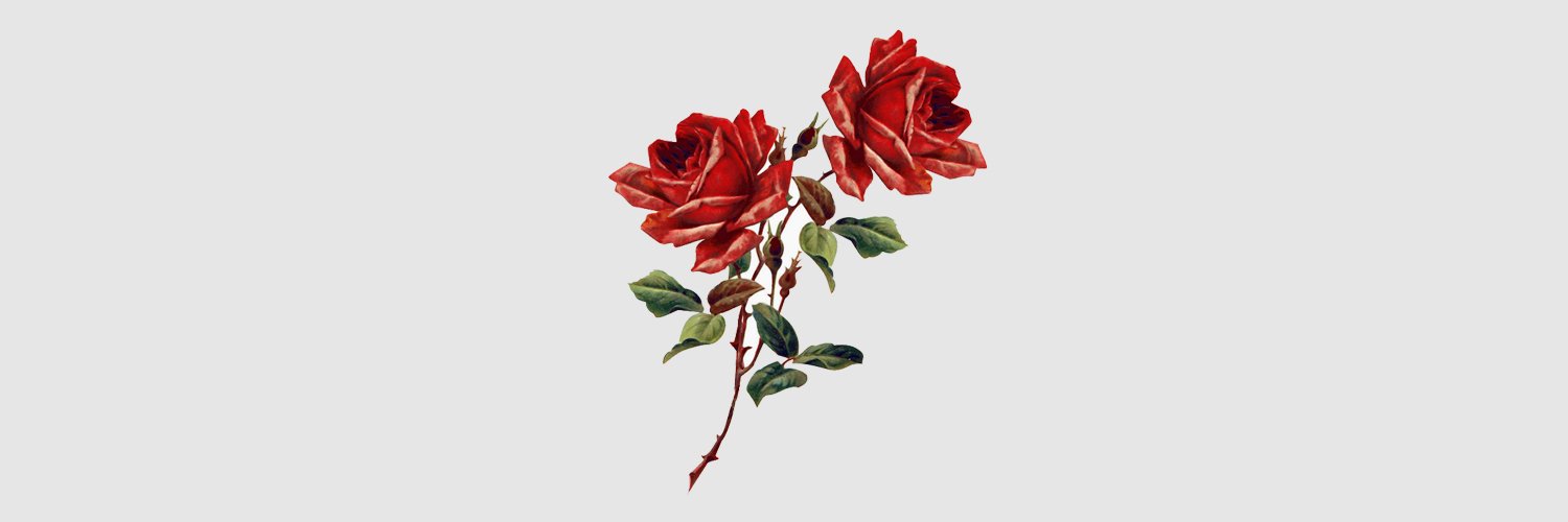 ltsroberta's profile banner image