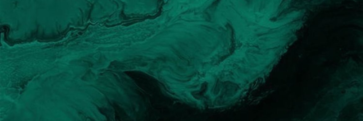 rabusflo's profile banner image