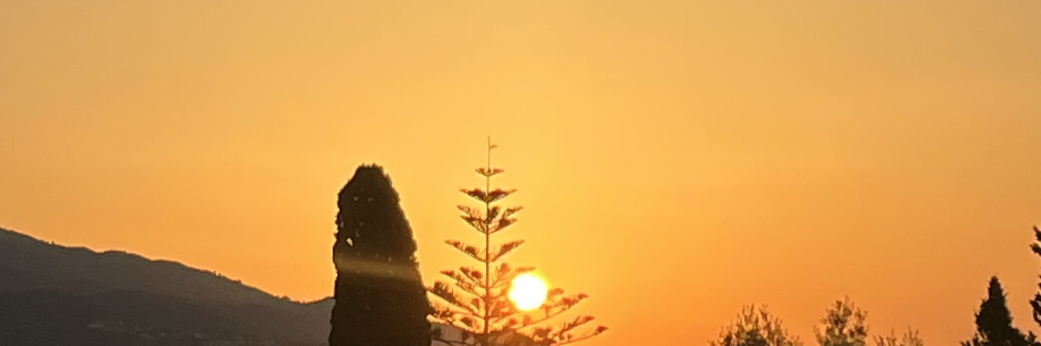 eel pie saps banner