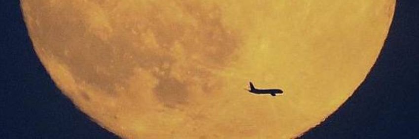n01n0's profile banner image