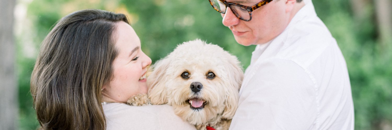 Pari Glessing banner