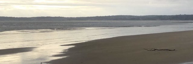 1433rs's profile banner image