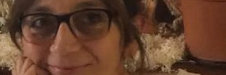 alirocha1's profile banner image