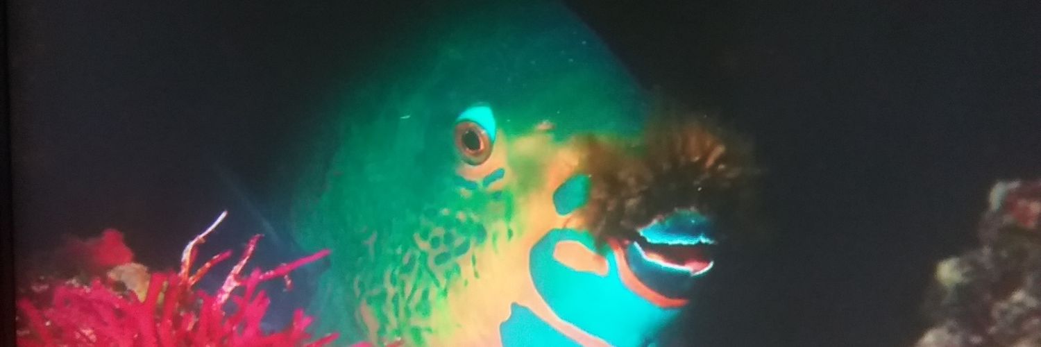 YaboiEZ's profile banner image