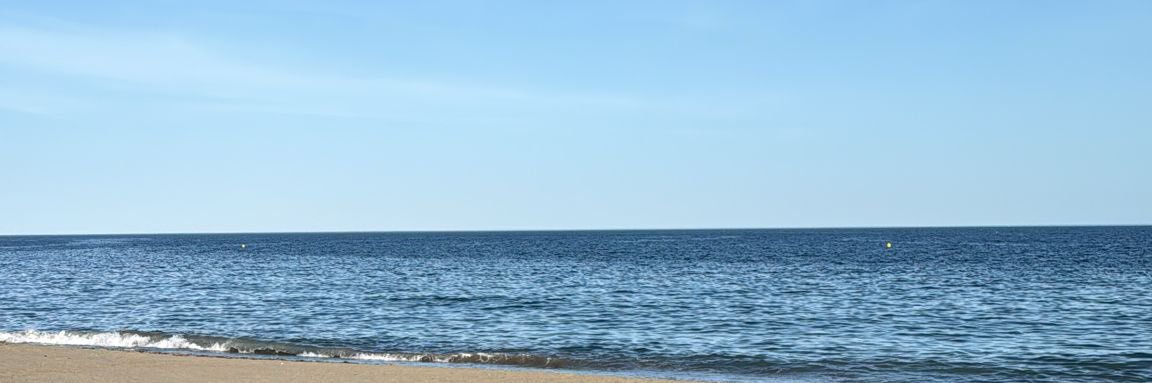 alidobarro's profile banner image