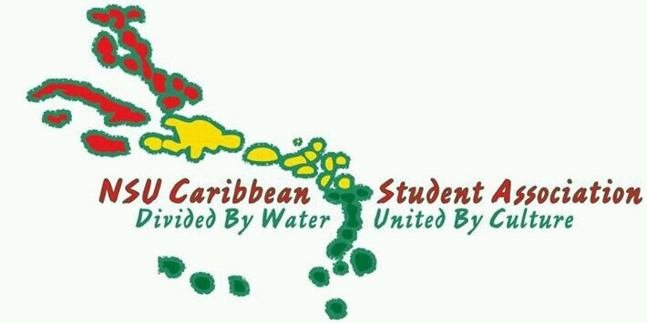 NSUCSA's profile banner image