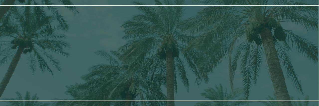 Ak_barrak's profile banner image