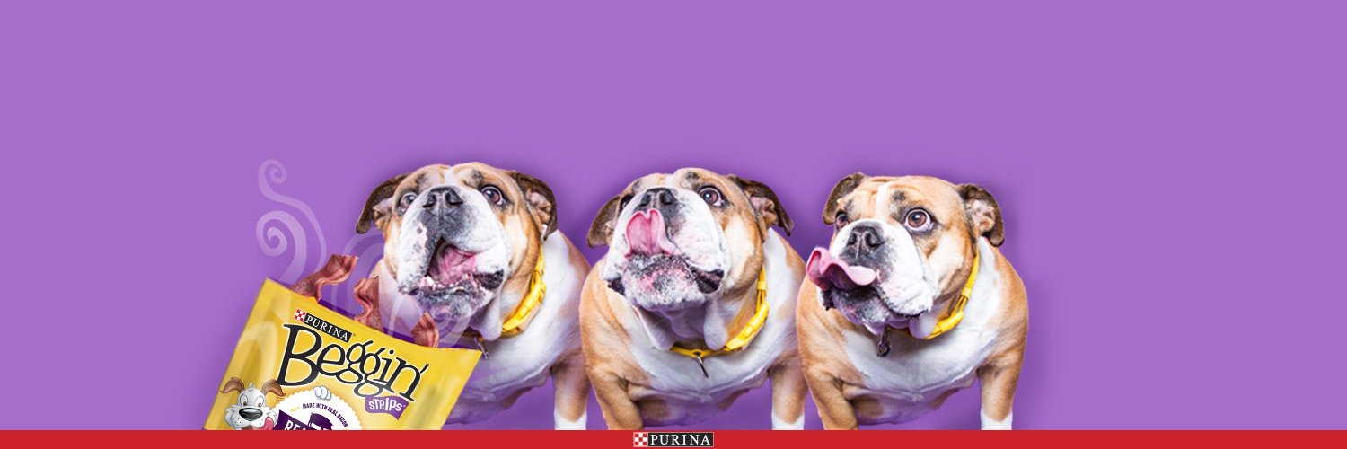 Beggin' Strips banner