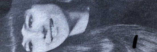 dodgerdonna's profile banner image