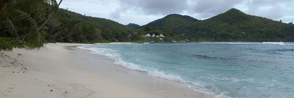 n4ina Profile Banner