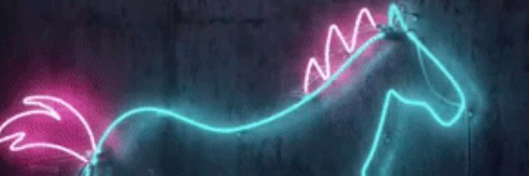 ginij2035's profile banner image