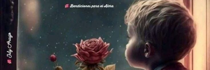 vallemariae's profile banner image