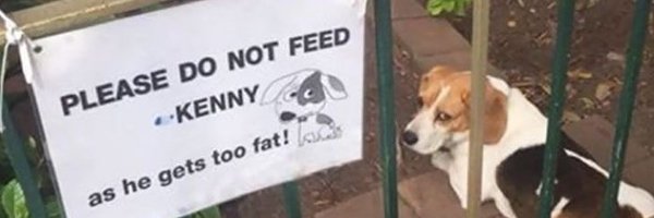 kenny_cz Profile Banner