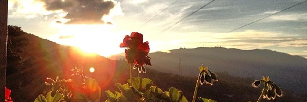 NewYeyka's profile banner image