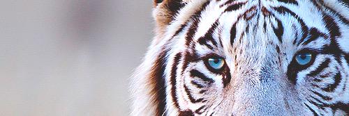 user1374926's profile banner image