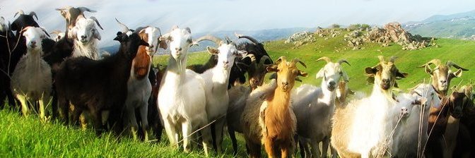 dberthi's profile banner image