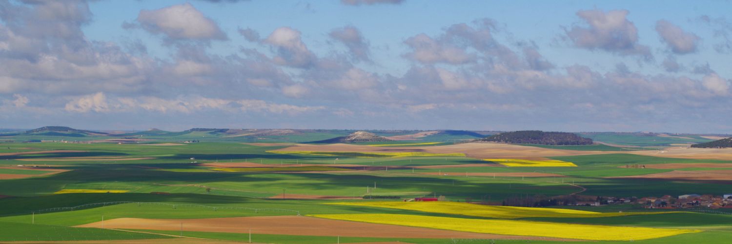 cazaycampo's profile banner image