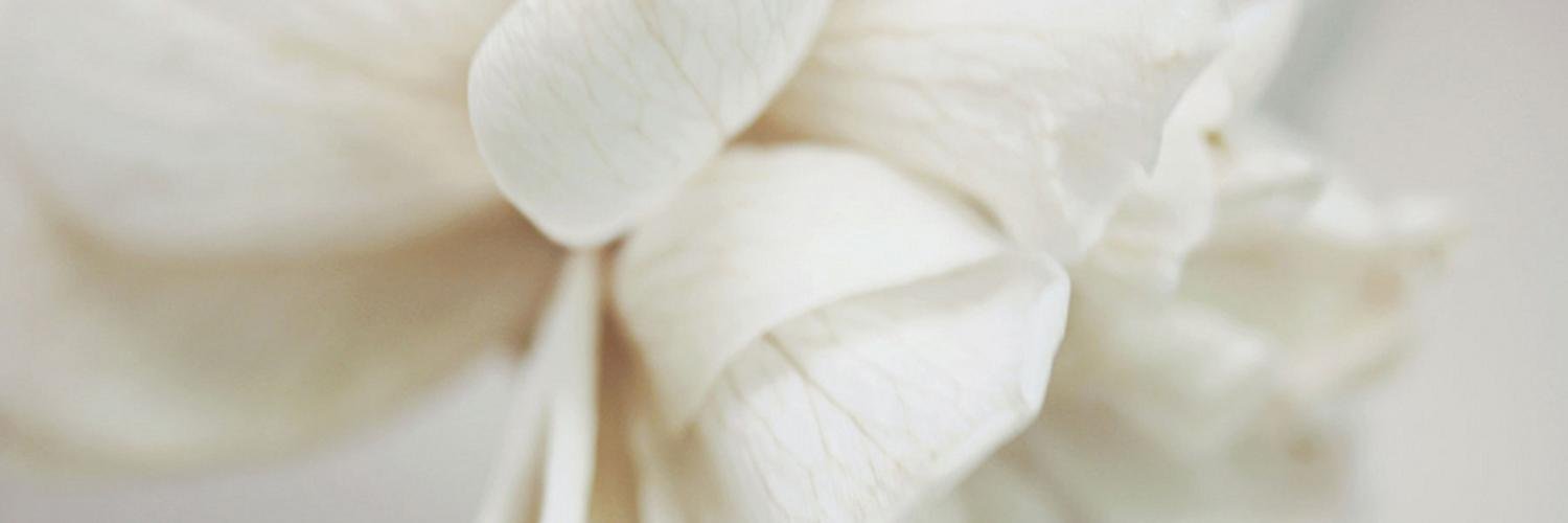 beautyfoundorg's profile banner image