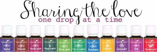 windyridgemom's profile banner image