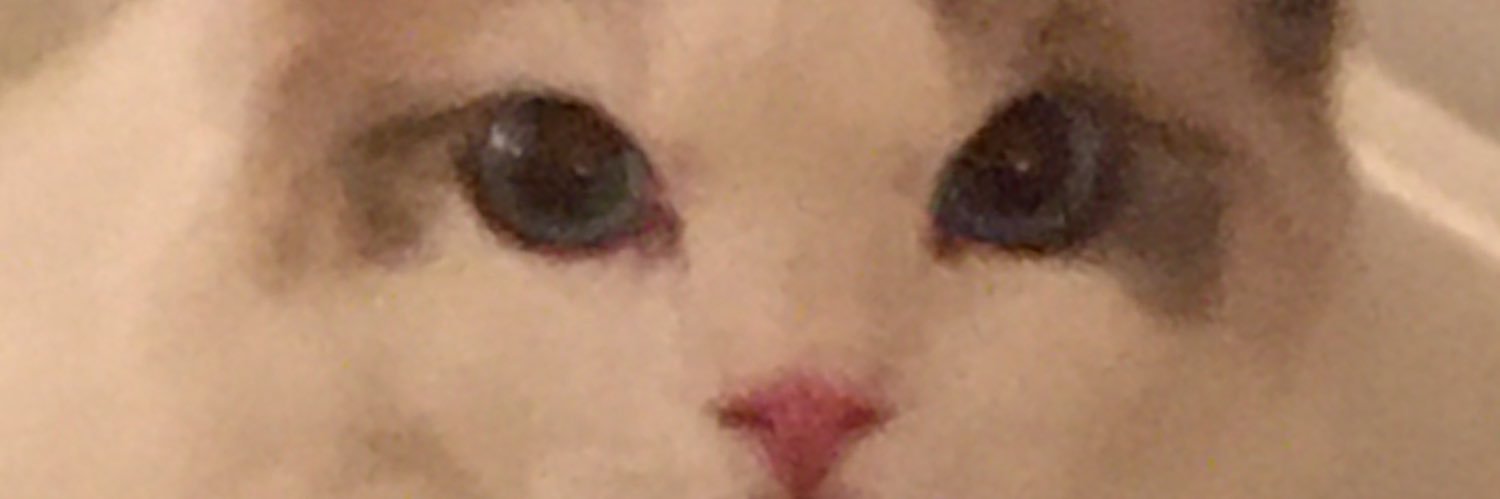 sundlisaj's profile banner image