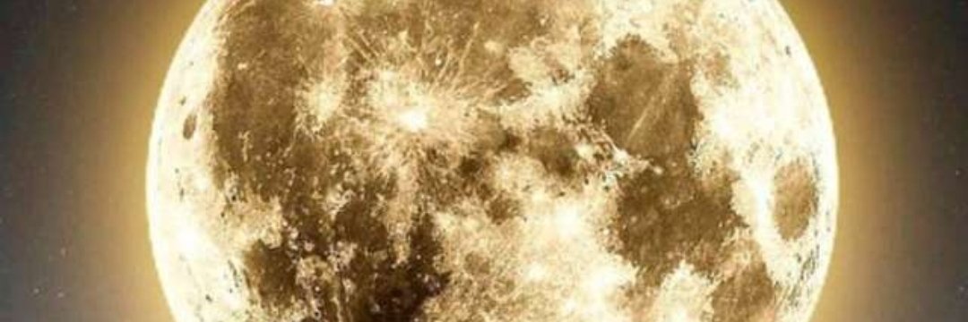 fhadiloo's profile banner image