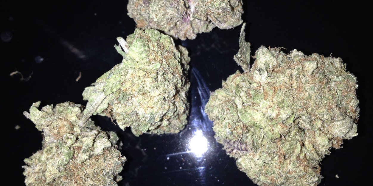 EverydayWeed's profile banner image