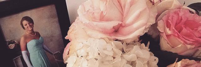HRoseviolet's profile banner image