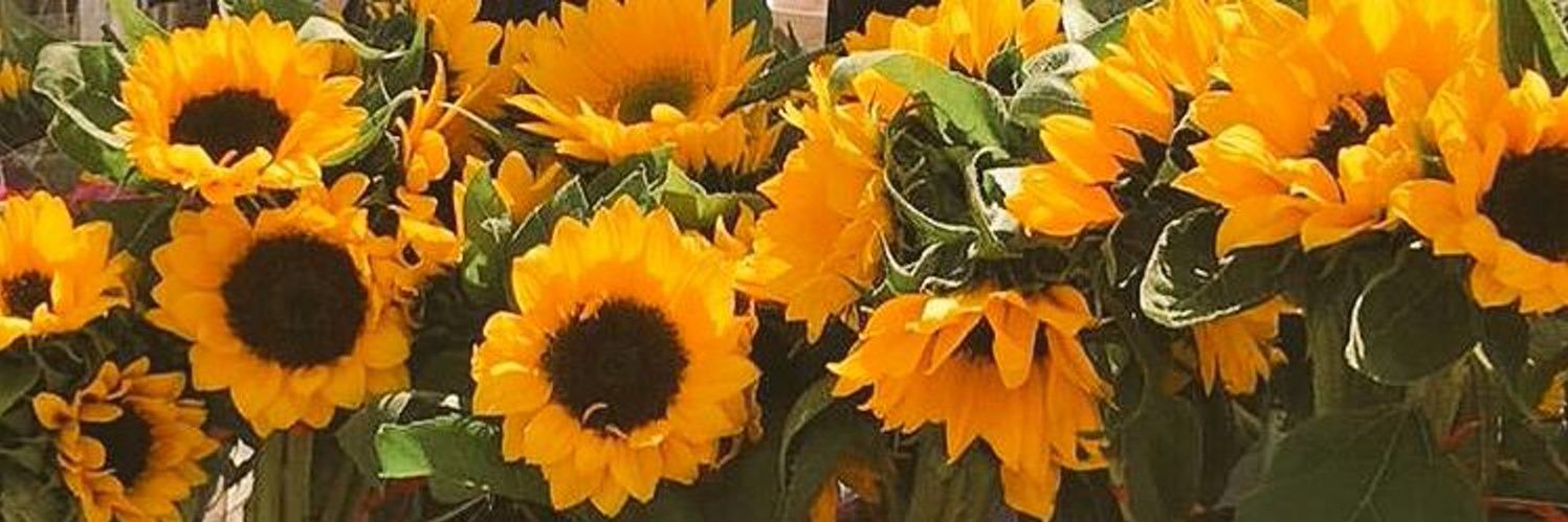 Raquel_Orue's profile banner image