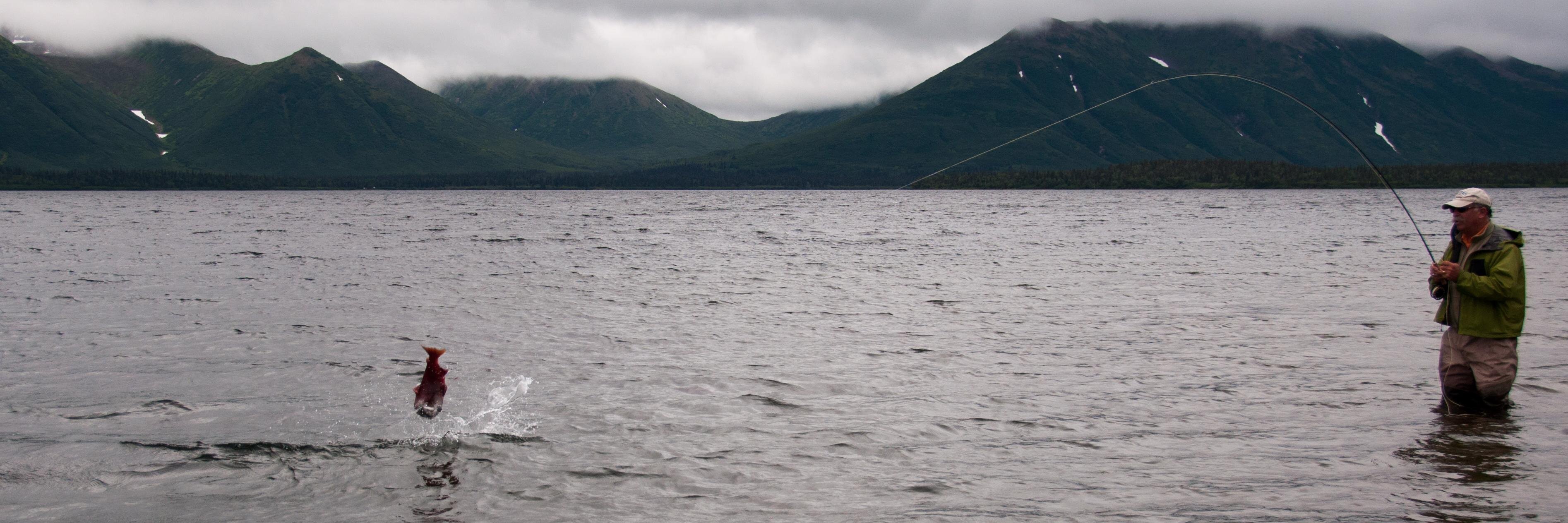 flyfishingshow's profile banner image