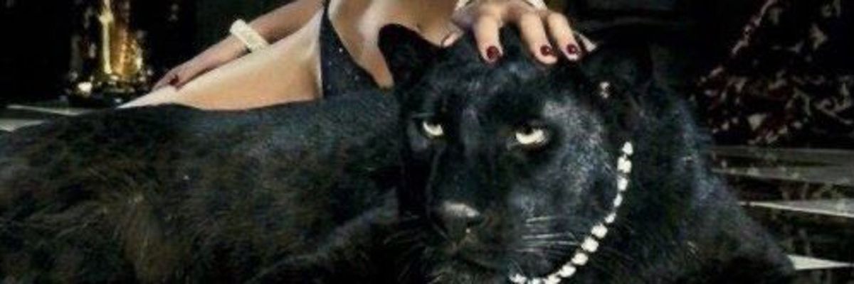 softlanaa_'s profile banner image