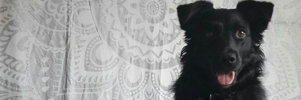 Lisxjayne's profile banner image