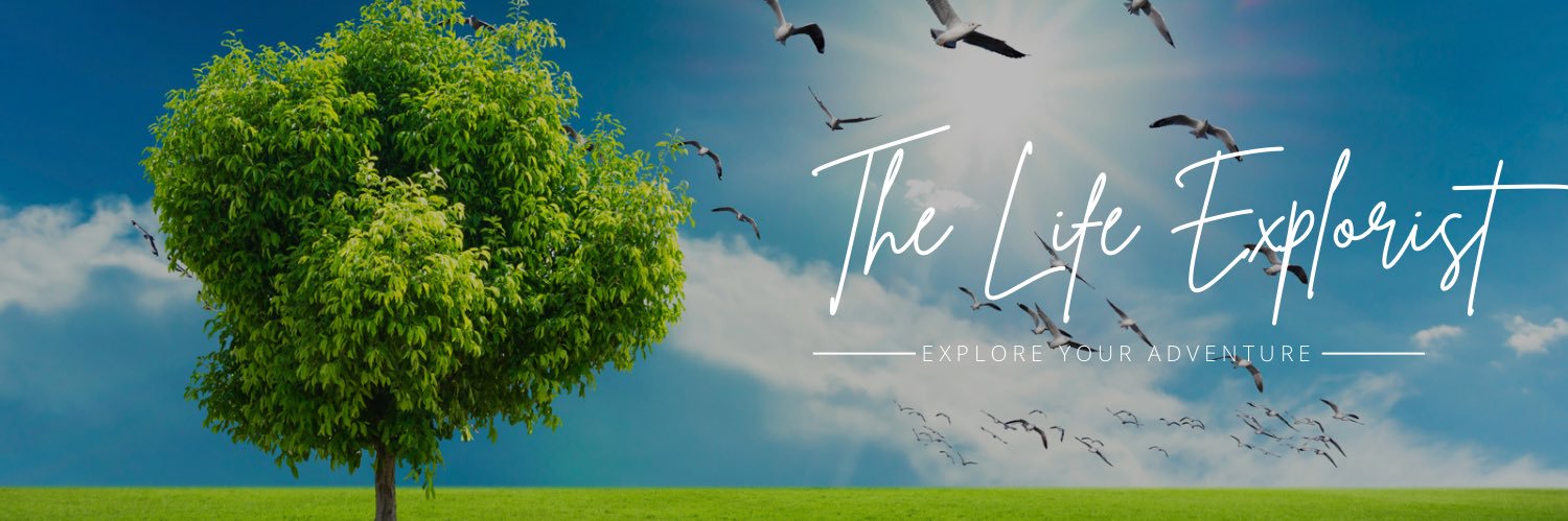 lifeexplorist's profile banner image