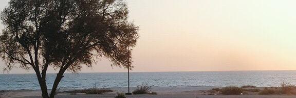 فهاد آبن قطيم banner